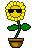 Woy 