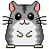 Woy 