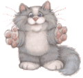 Woy 