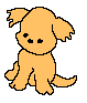 Woy 