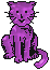 Woy 