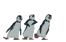 Woy 