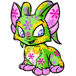 Woy 