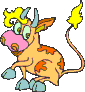 Woy 