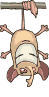 Woy 