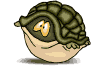 Woy 