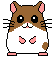 Woy 