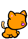 Woy 
