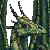Woy 
