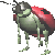 Woy 