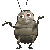 Woy 