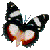 Woy 