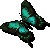 Woy 