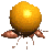 Woy 