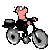Woy 