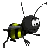 Woy 