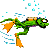 Woy 