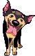 Woy 