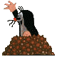 Woy 