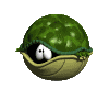 Woy 