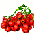 Woy 