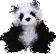 Woy 