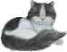 Woy 