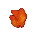 Woy 