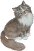 Woy 
