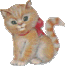 Woy 
