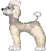 Woy 