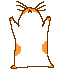 Woy 