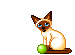 Woy 