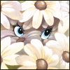 Woy 