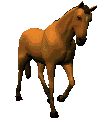 Woy 
