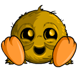 Woy 