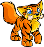 Woy 
