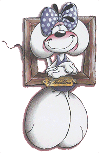 Woy 