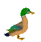 Woy 