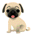 Woy 