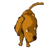 Woy 