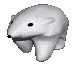 Woy 