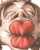 Woy 