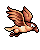 Woy 