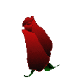 Woy 