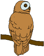 Woy 