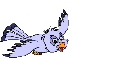 Woy 