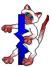 Woy 